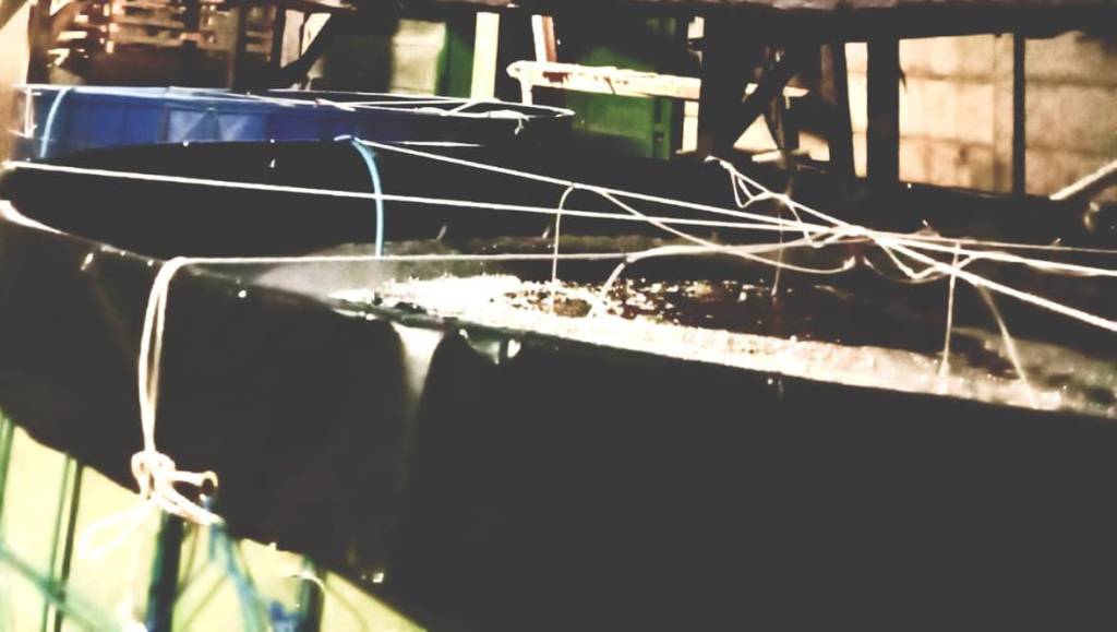 Kolam Bioflok Lele Bumdes Mekar Sari Rulung Sari